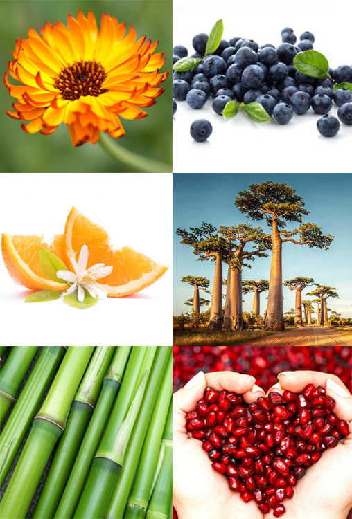 montage-produits